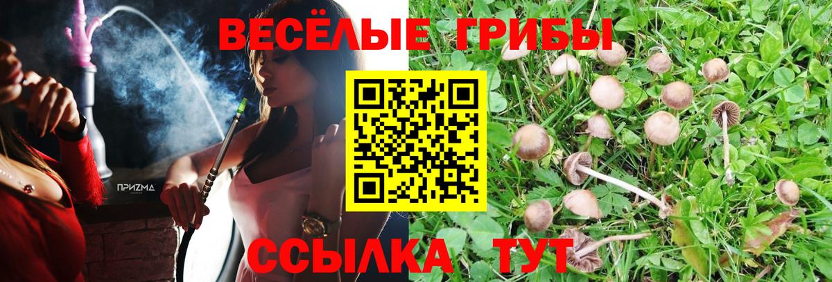 Псилоцибиновые грибы мухоморы  Галлюциногенные грибы ЛСД  Кизилюрт  Вход с VPN 